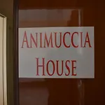 Casa Vacanze Animuccia House Roma